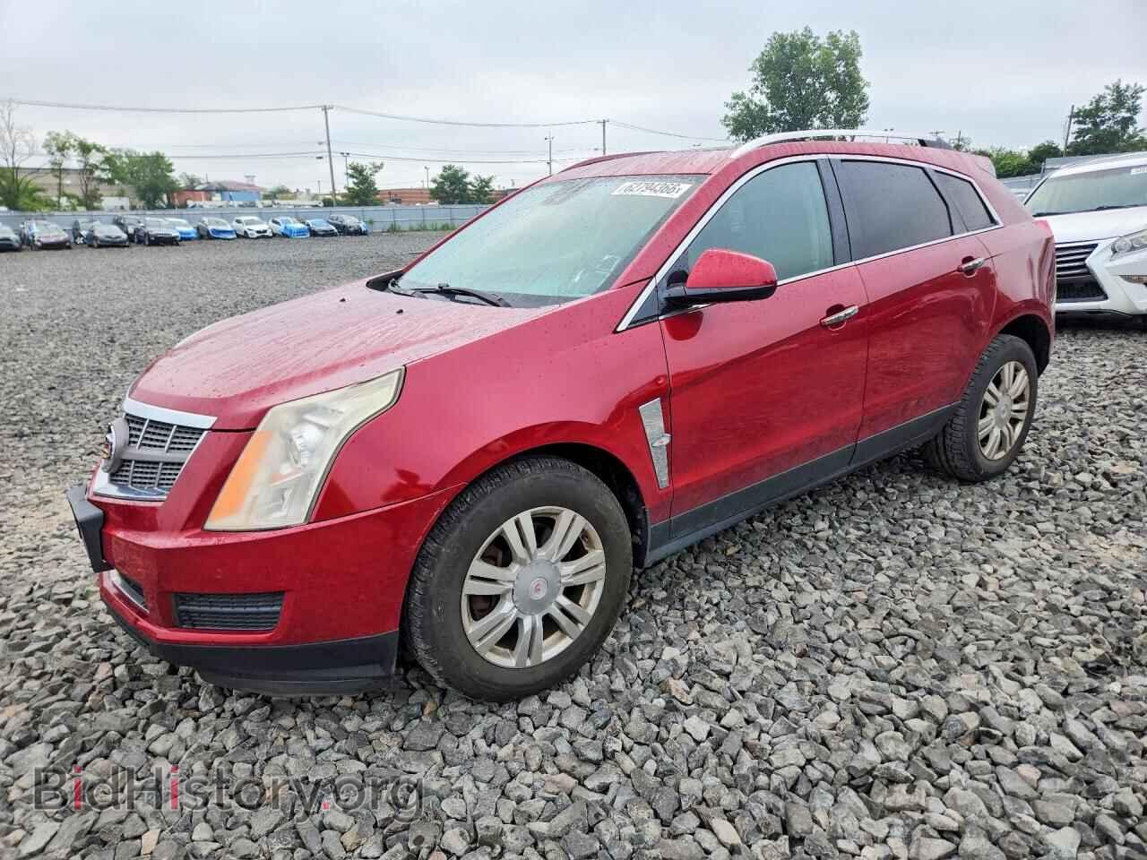 Фотография 3GYFNDEYXAS613989 - CADILLAC SRX 2010