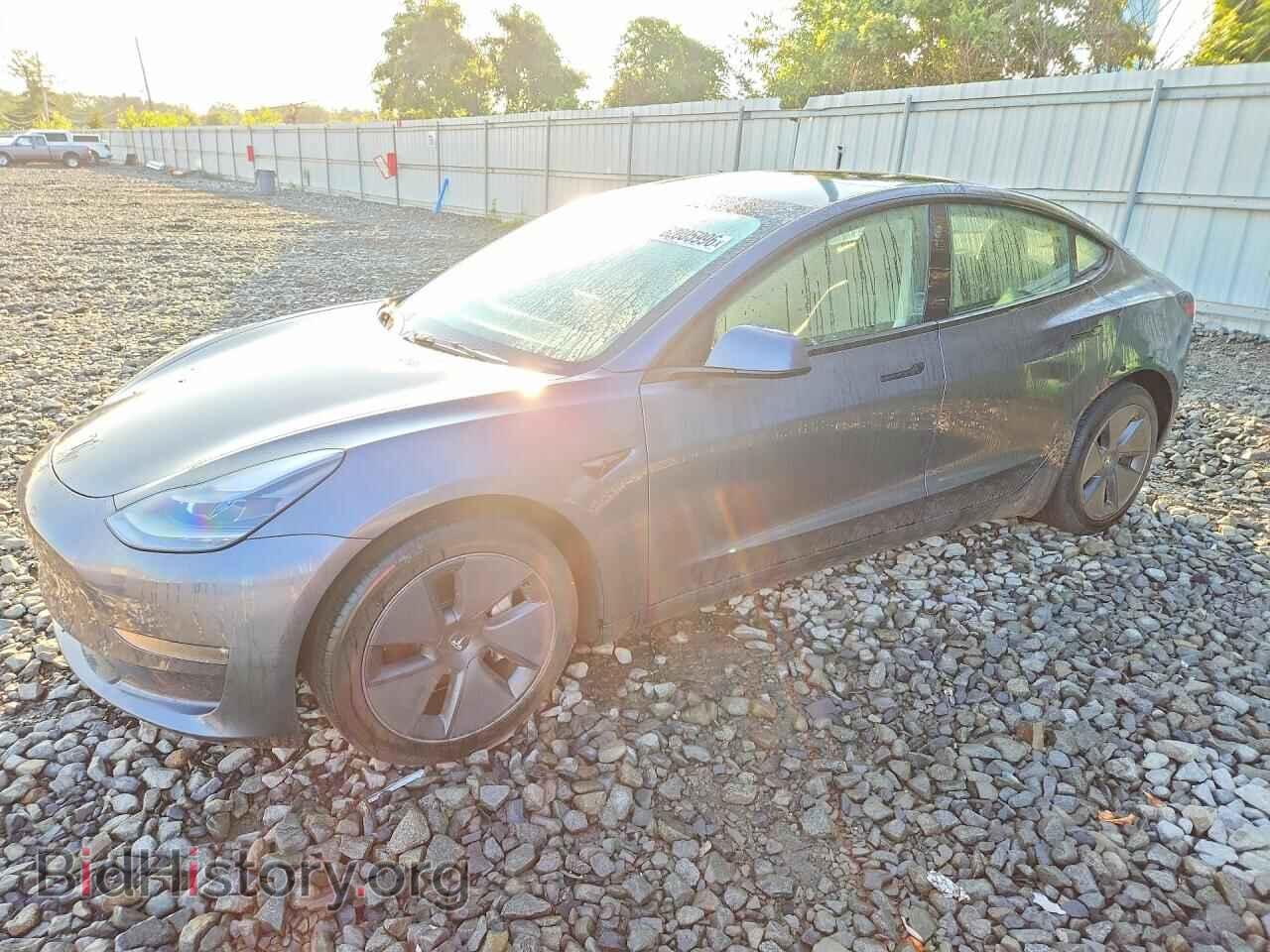 Photo 5YJ3E1EB3PF634431 - TESLA MODEL 3 2023