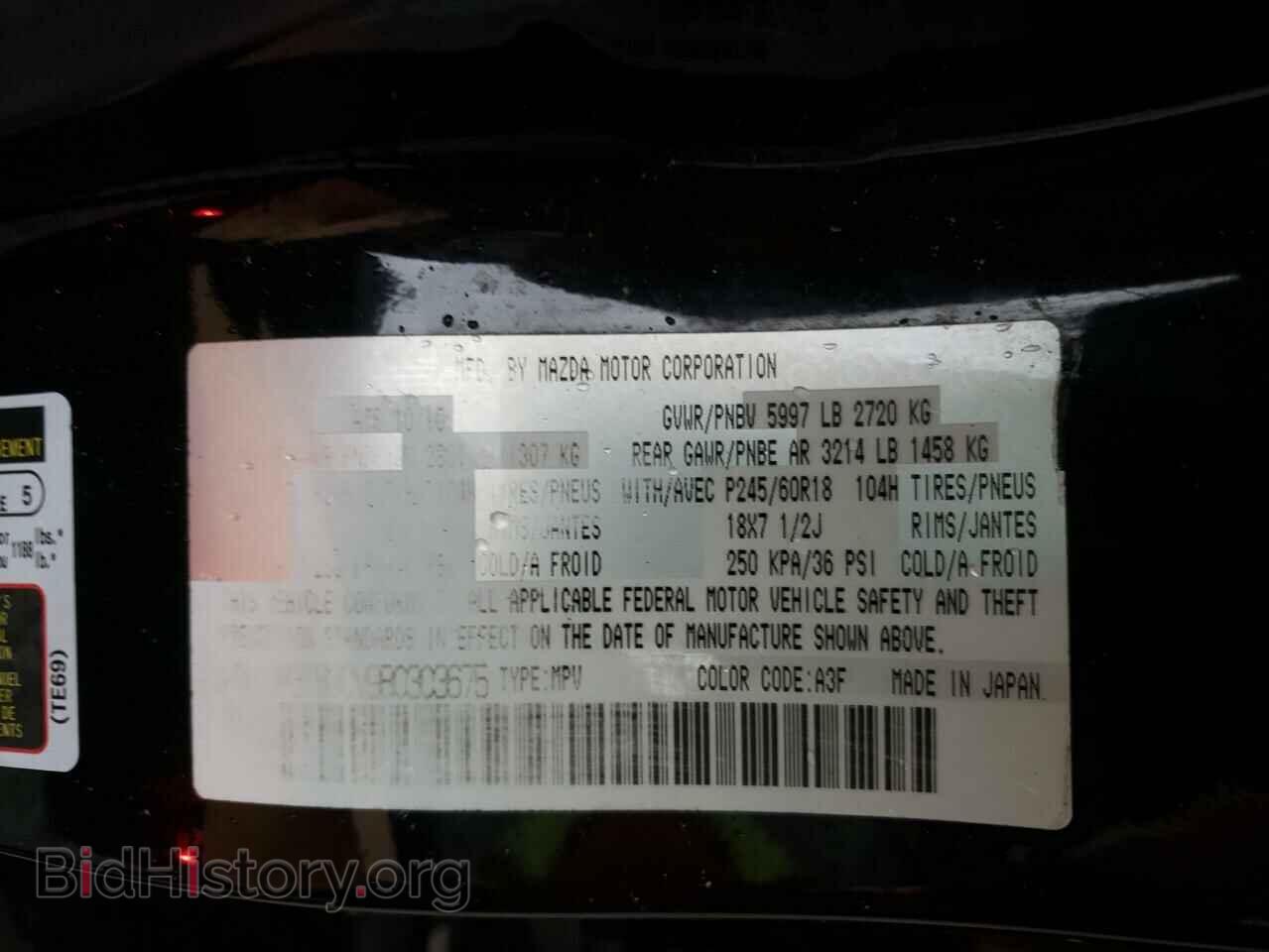 2011 MAZDA CX-9 - VIN: JM3TB3CV9B0303675 - Фото 10