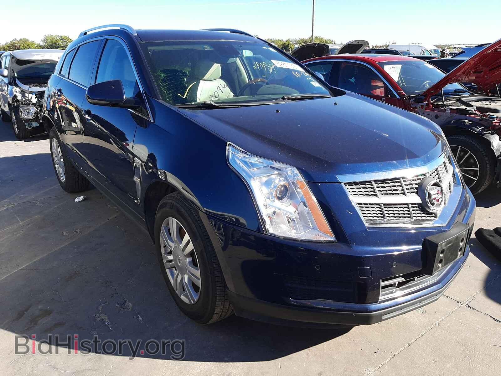 Фотография 3GYFNAEY9AS574357 - CADILLAC SRX 2010