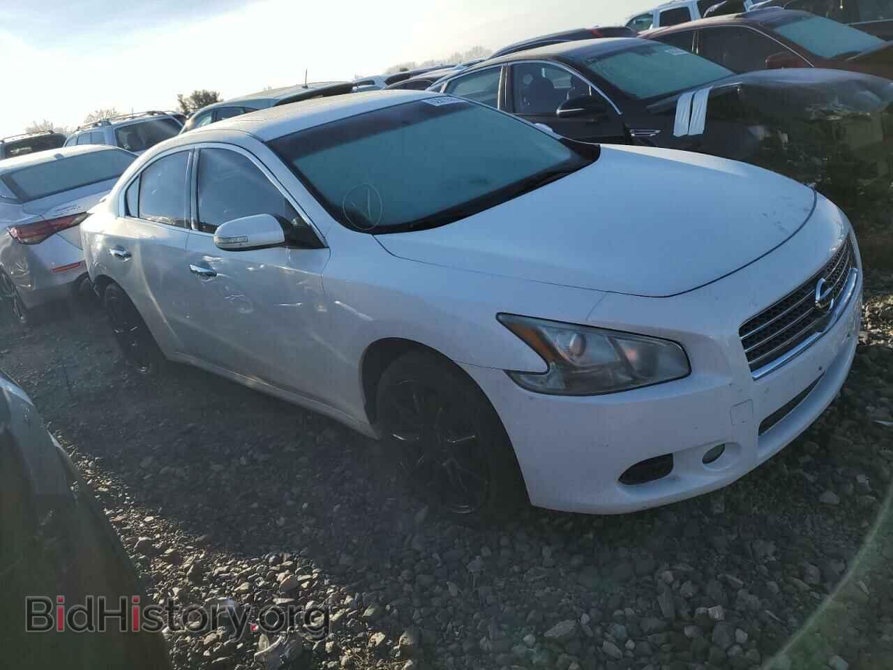 Photo 1N4AA5AP5BC847307 - NISSAN MAXIMA 2011