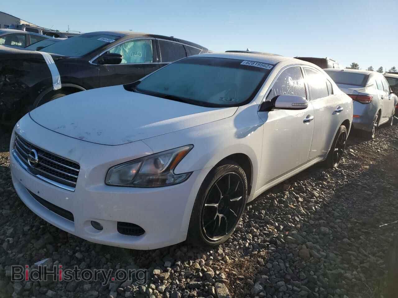 2011 NISSAN MAXIMA - VIN: 1N4AA5AP5BC847307 - Фото 2