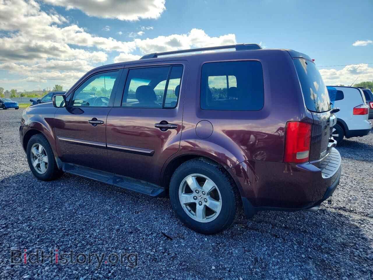 2009 HONDA PILOT - VIN: 5FNYF48669B016512 - Фото 2