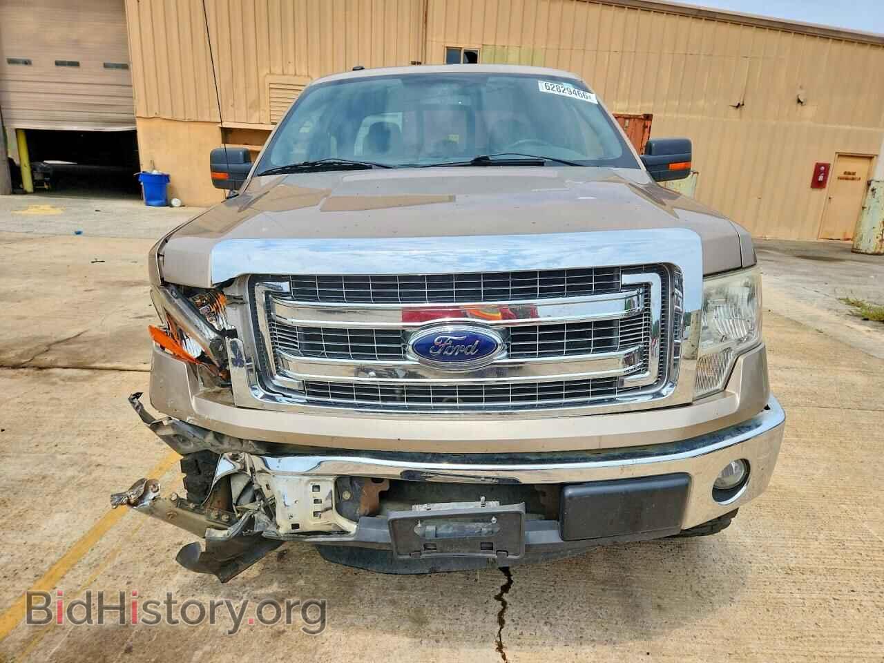 2013 FORD F150 - VIN: 1FTFX1CF8DKG04742 - Фото 5