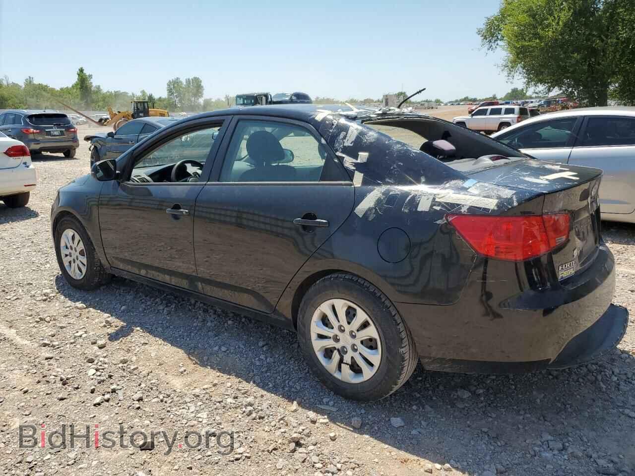 2013 KIA FORTE - VIN: KNAFU4A24D5703807 - Фото 2