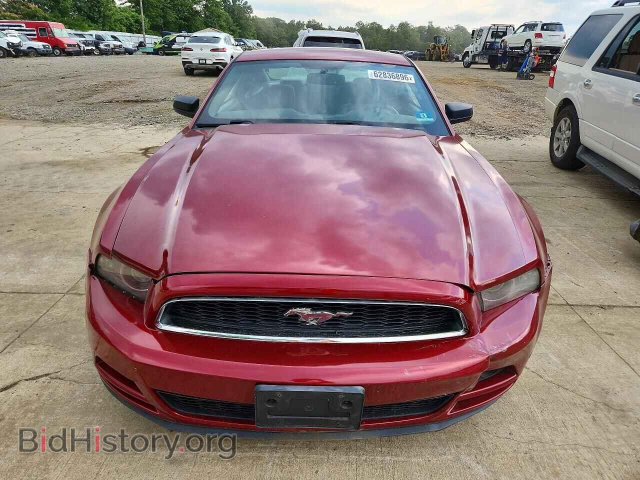 2014 FORD MUSTANG - VIN: 1ZVBP8AM4E5245721 - Фото 5