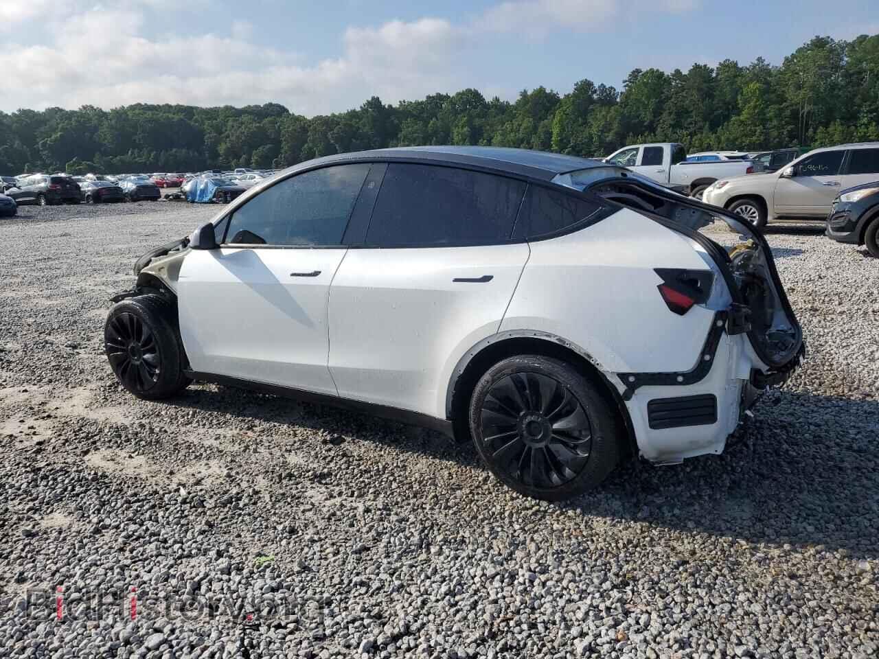 2024 TESLA MODEL Y - VIN: 7SAYGAEEXRF005653 - Photo 2