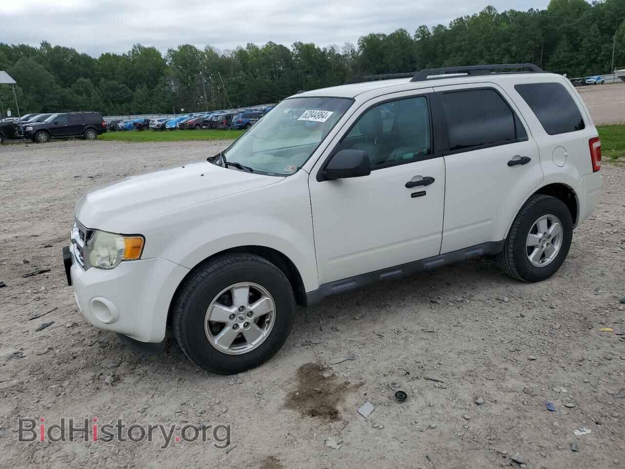 Photo 1FMCU0D76BKB74747 - FORD ESCAPE 2011