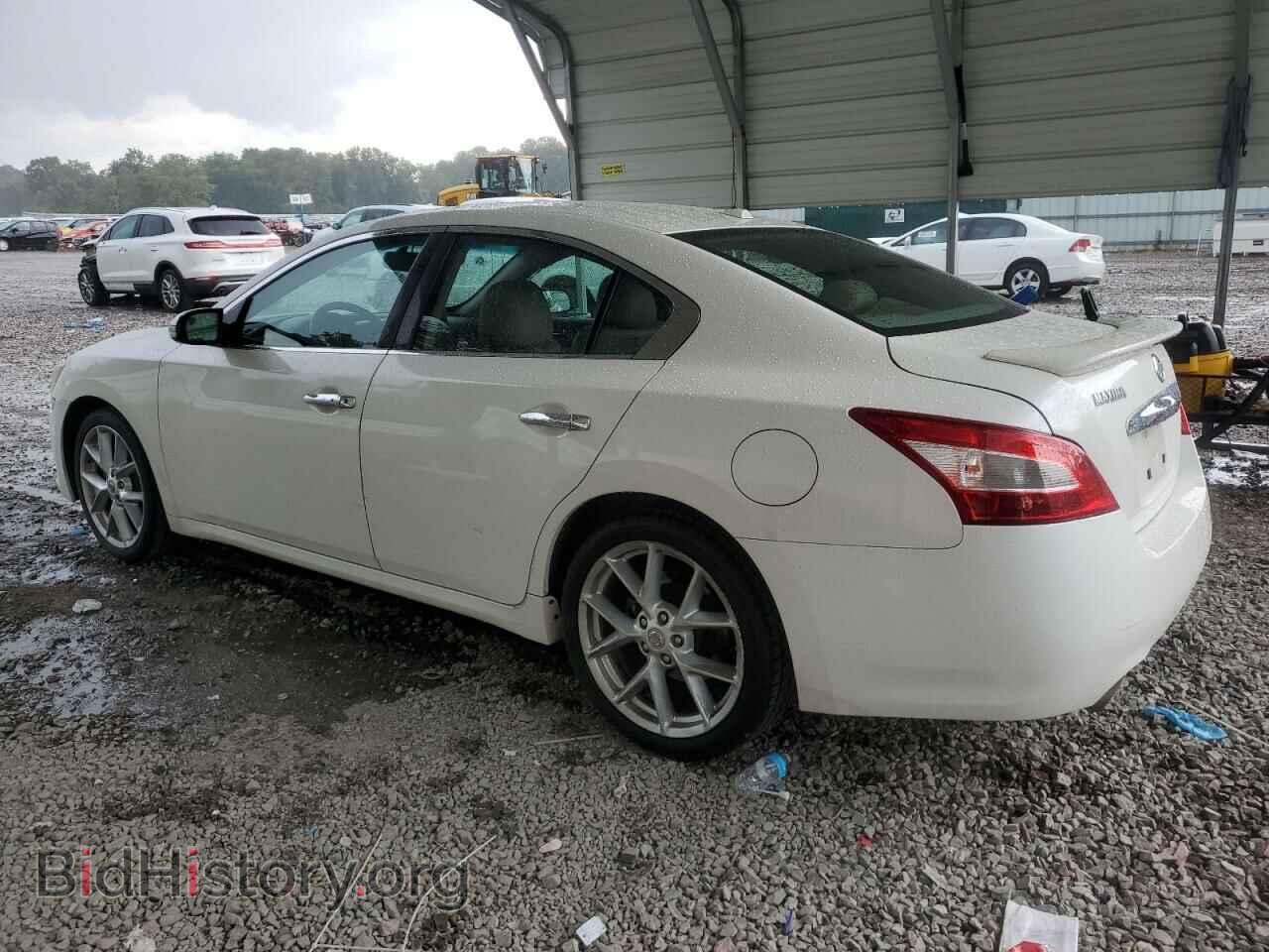 2009 NISSAN MAXIMA - VIN: 1N4AA51E89C806128 - Фото 2