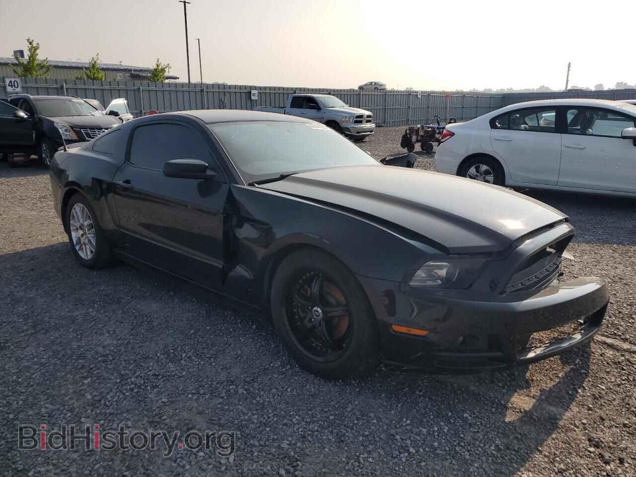 2014 FORD ALL Models - VIN: 1ZVBP8AM7E5213975 - Фото 4