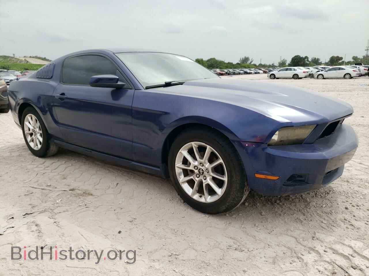 2010 FORD ALL Models - VIN: 1ZVBP8AN8A5165177 - Фото 4
