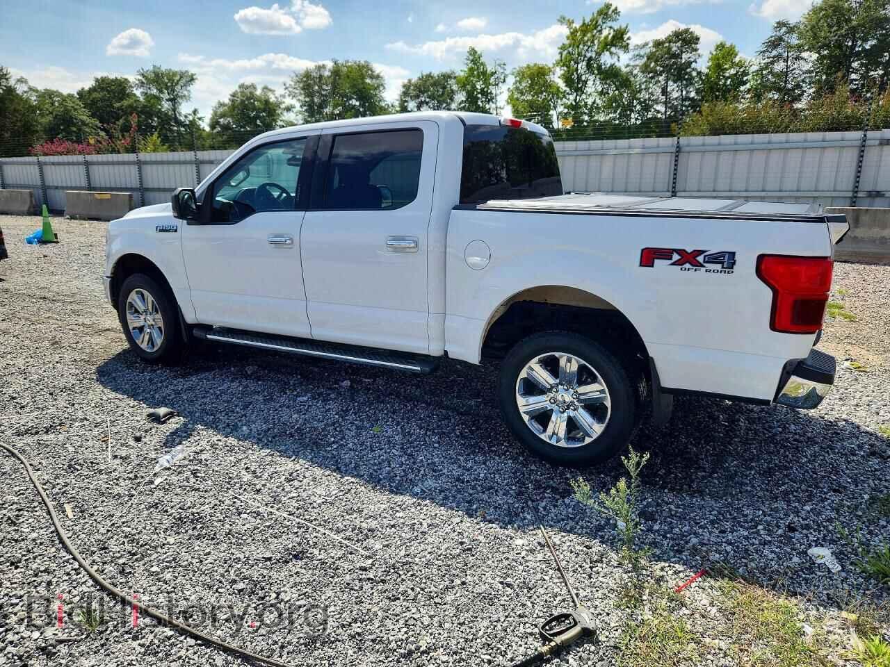 2019 FORD F150 - VIN: 1FTEW1E46KFB11464 - Фото 2