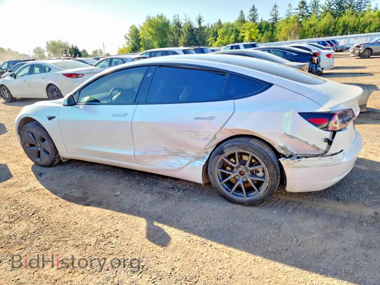 2023 TESLA MODEL 3 - VIN: 5YJ3E1EA8PF558311 - Photo 2