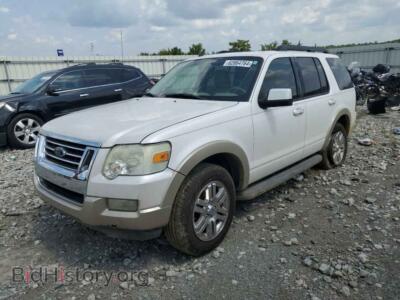 2010 Ford EXPLORER Eddie Bauer, white — VIN 1FMEU7E81AUA84109, Copart