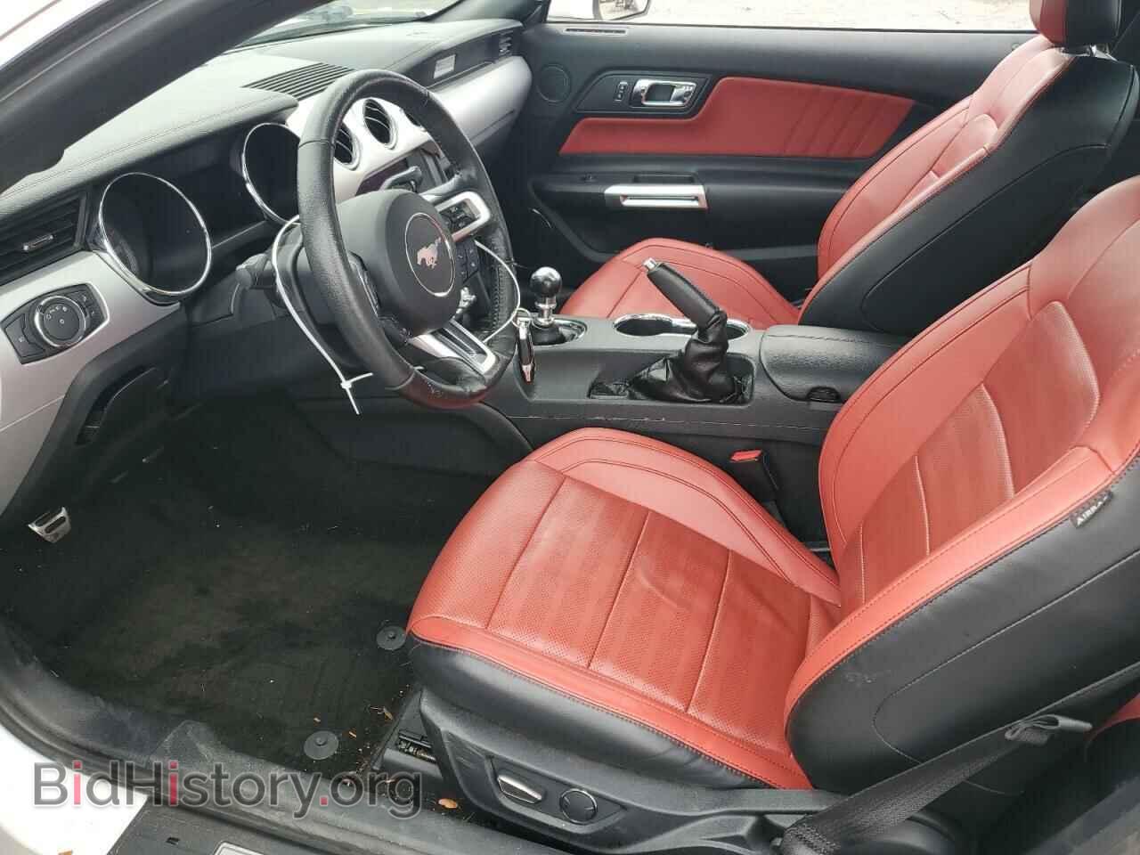 2017 FORD ALL Models - VIN: 1FA6P8THXH5358605 - Фото 7