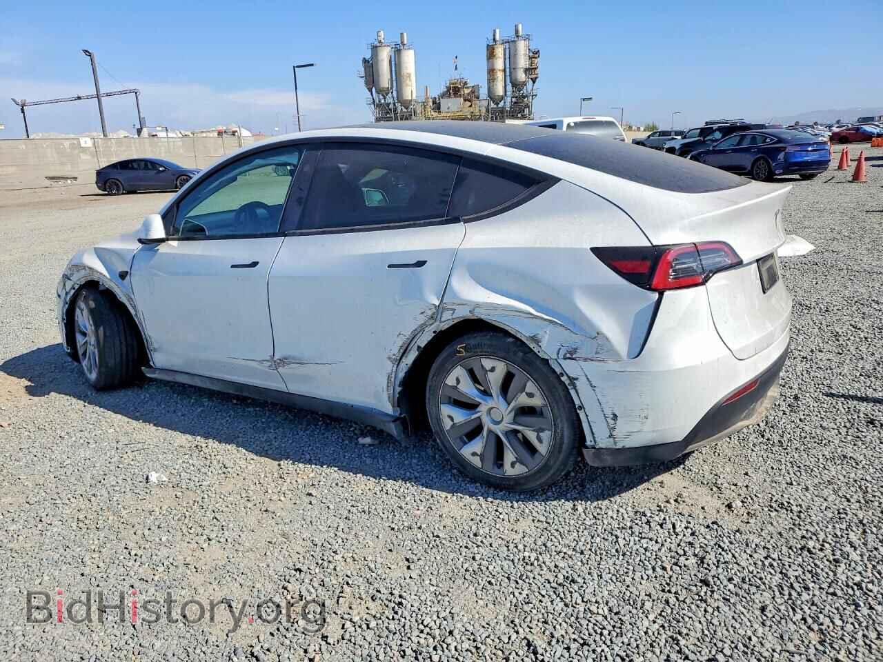 2024 TESLA MODEL Y - VIN: 7SAYGDED2RF088276 - Photo 2