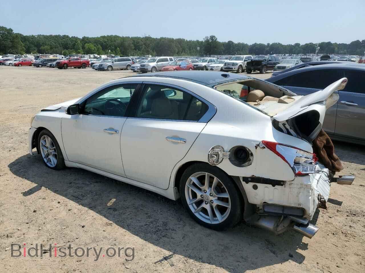 2009 NISSAN MAXIMA - VIN: 1N4AA51E29C801149 - Фото 2