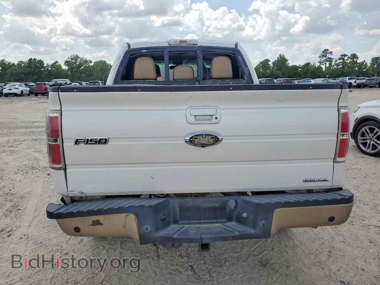 2011 FORD F150 - VIN: 1FTFW1CF3BFA40331 - Фото 6