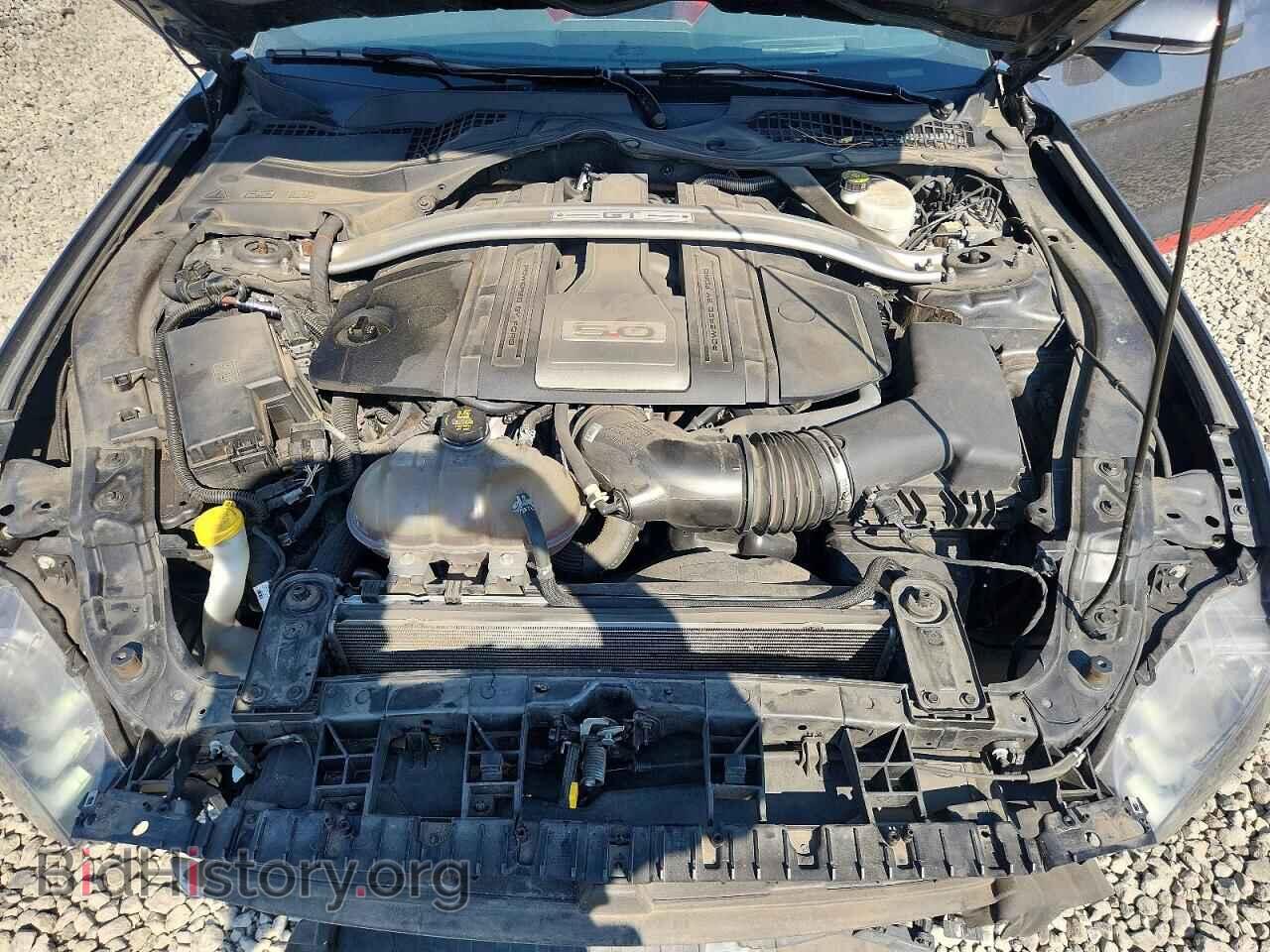 2019 FORD MUSTANG - VIN: 1FA6P8CF1K5119224 - Photo 11