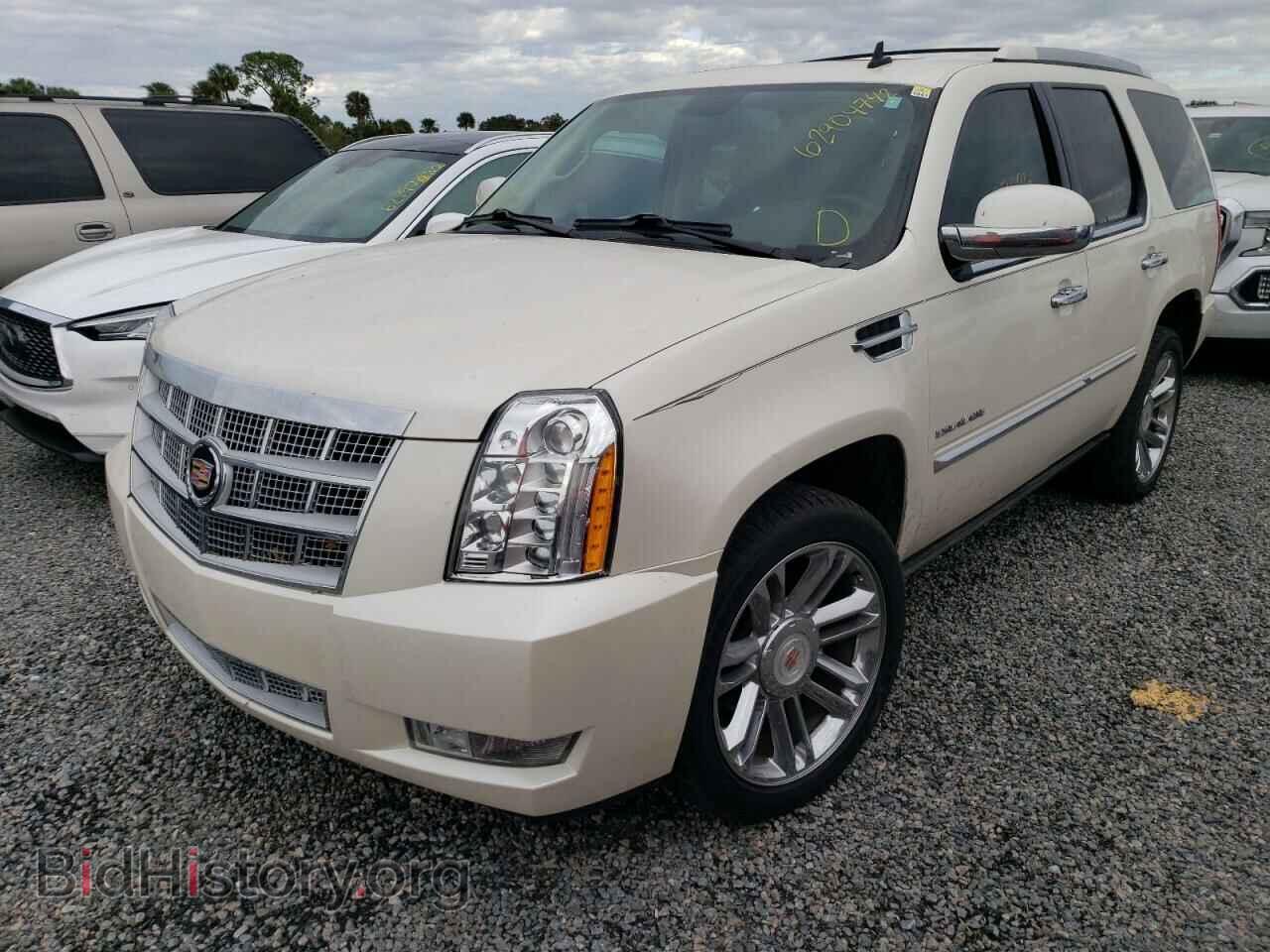2013 CADILLAC ESCALADE - VIN: 1GYS4DEF3DR141867 - Фото 2
