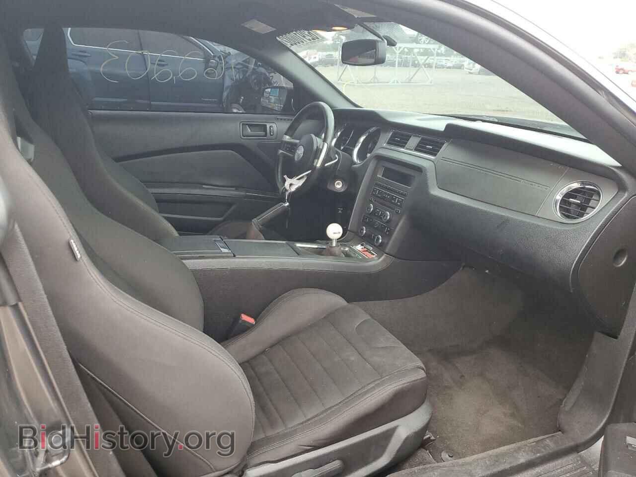 2013 FORD MUSTANG - VIN: 1ZVBP8CF2D5220619 - Фото 5