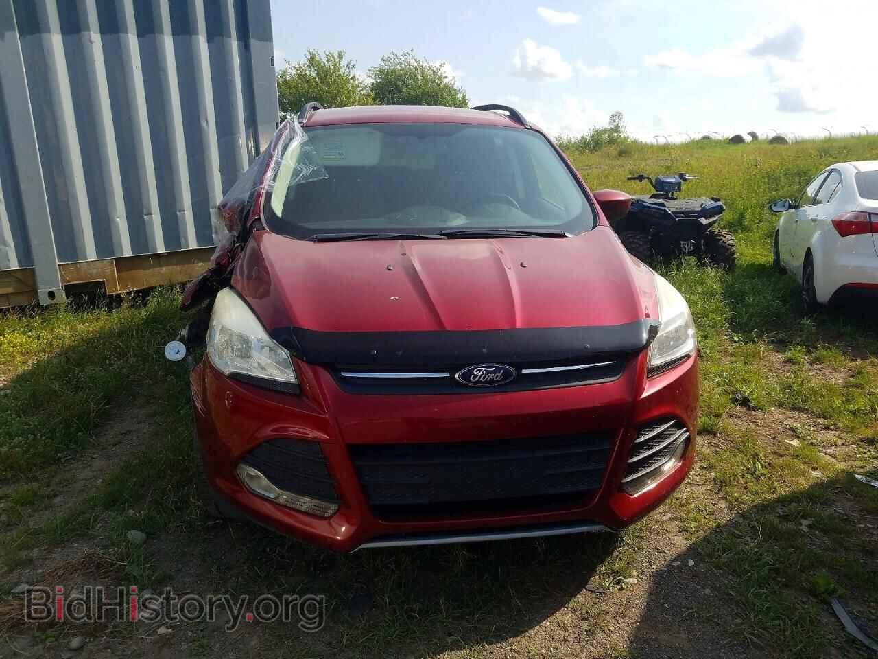 2014 FORD ESCAPE - VIN: 1FMCU0GX5EUD04067 - Фото 5