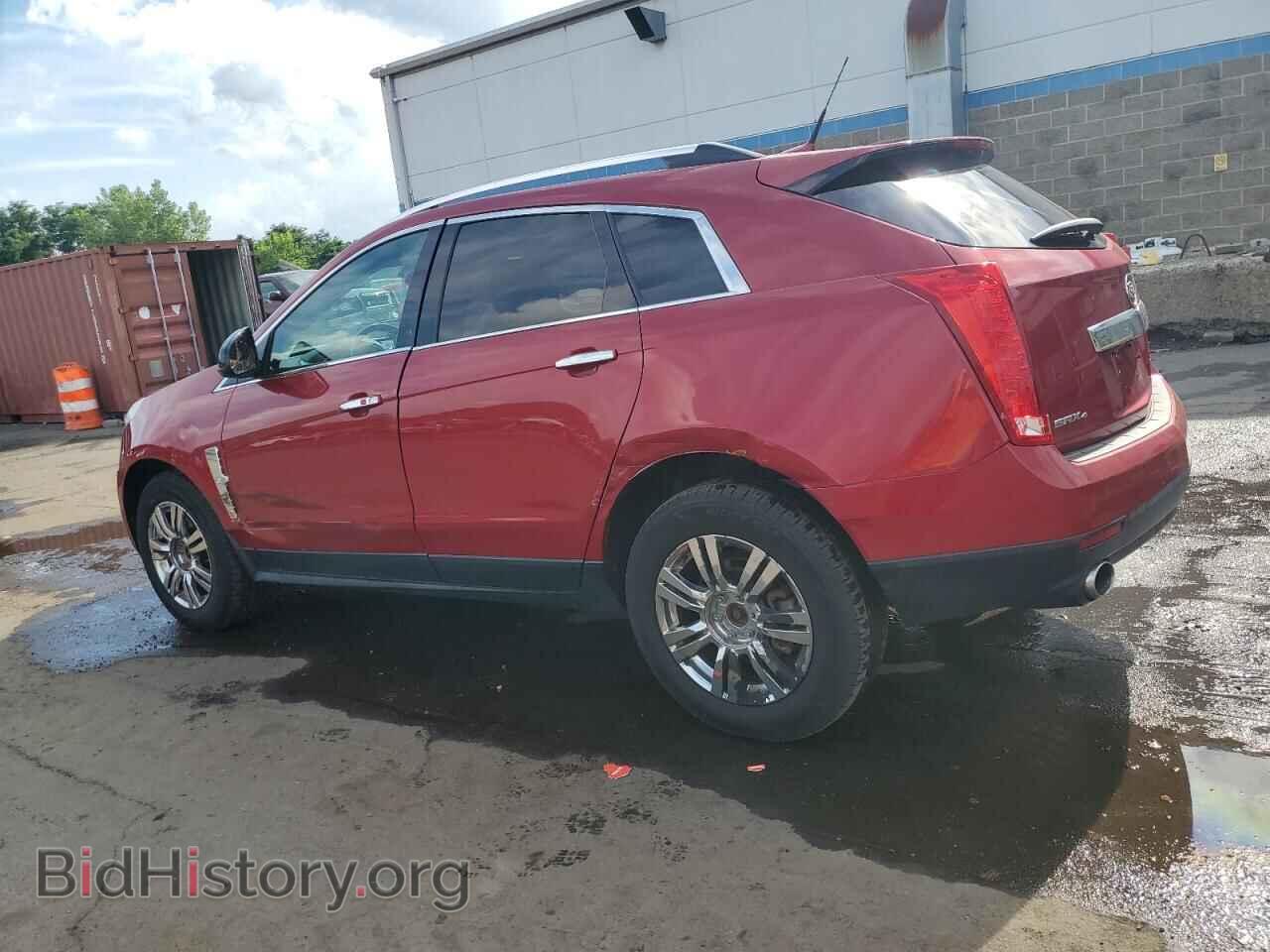 2011 CADILLAC SRX - VIN: 3GYFNDEY2BS529098 - Фото 2