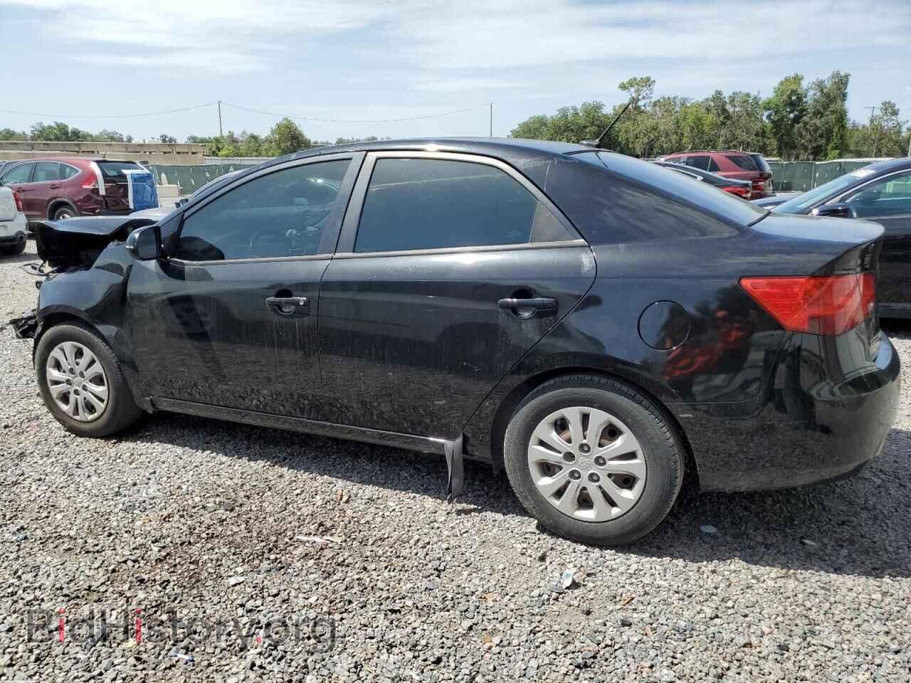 2011 KIA FORTE - VIN: KNAFU4A25B5442541 - Фото 2