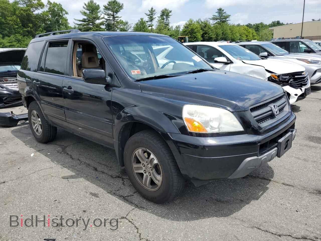 2005 HONDA PILOT - VIN: 5FNYF18505B038425 - Фото 4
