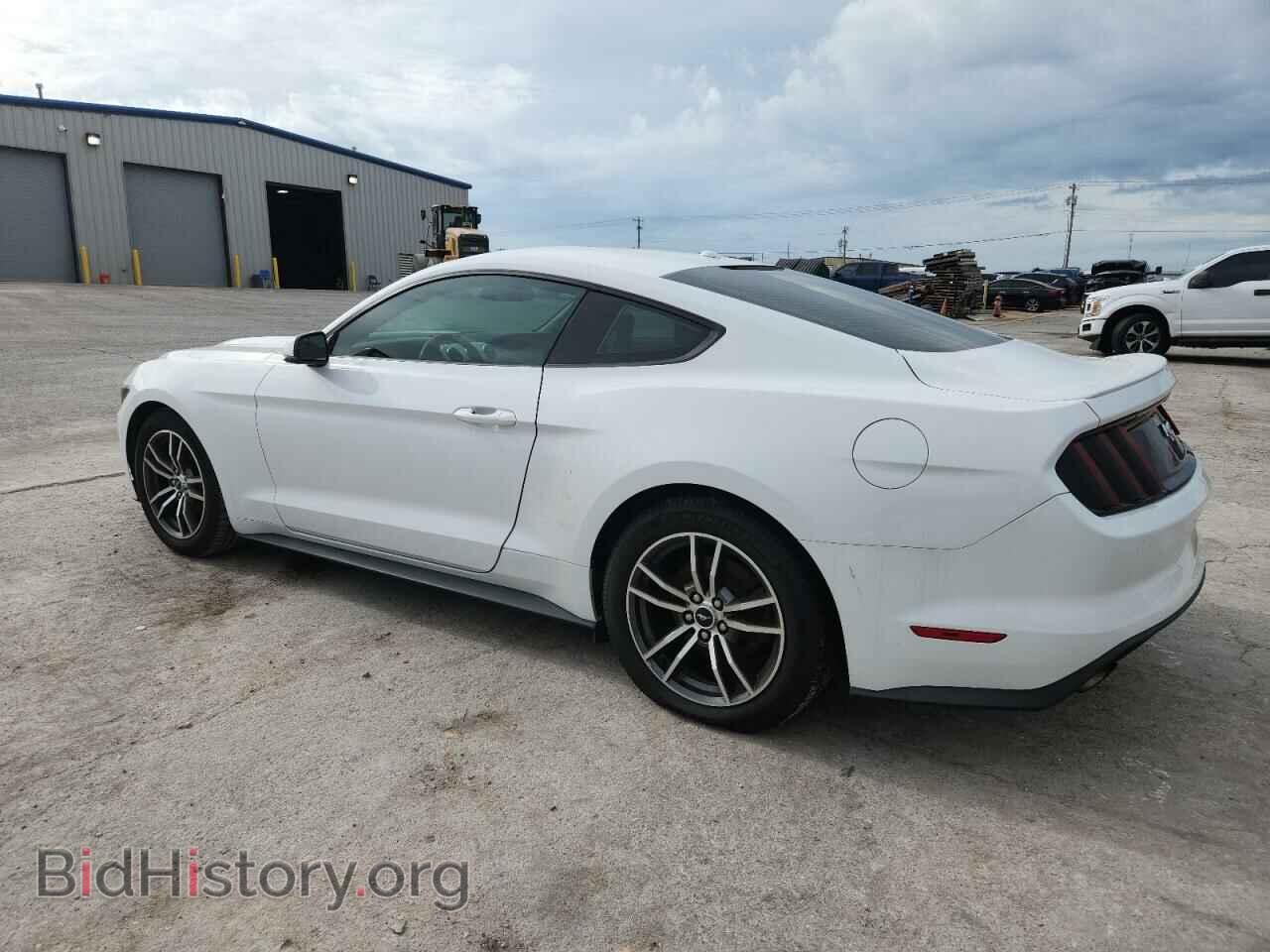 2017 FORD ALL Models - VIN: 1FA6P8TH4H5331335 - Фото 2