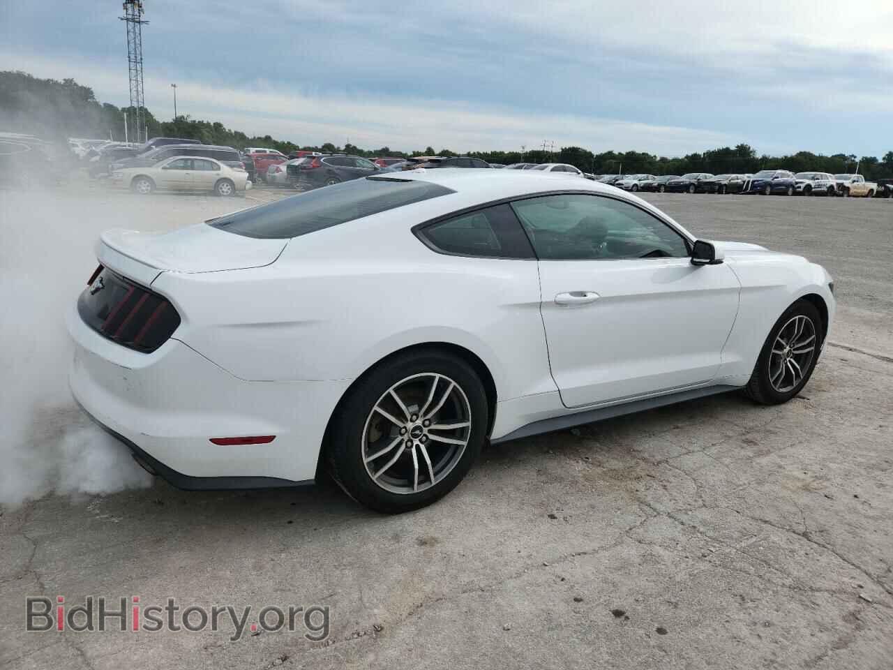 2017 FORD ALL Models - VIN: 1FA6P8TH4H5331335 - Фото 3