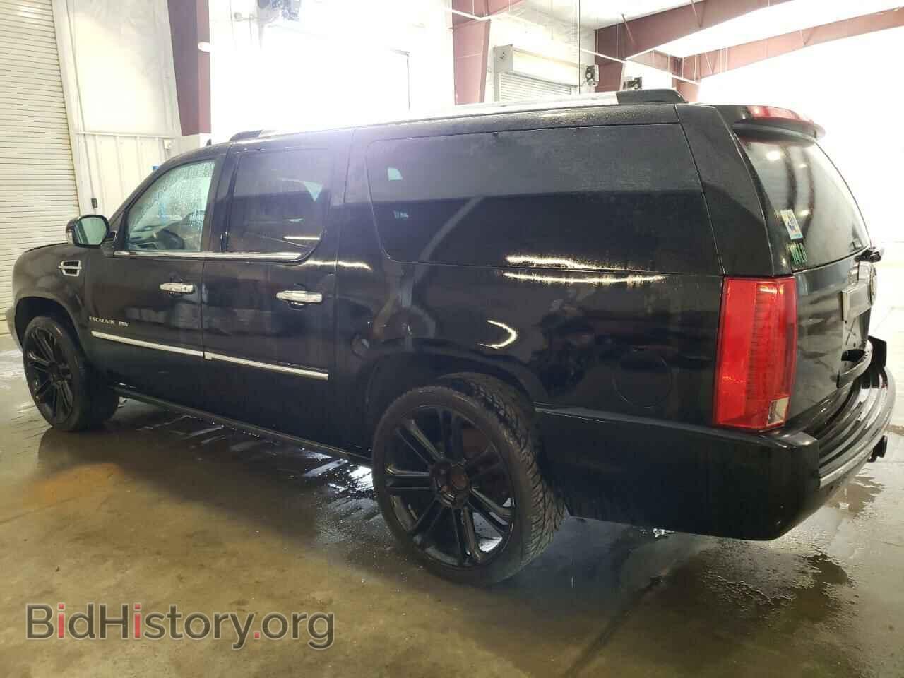 2010 CADILLAC ESCALADE - VIN: 1GYUKJEF1AR106964 - Фото 2