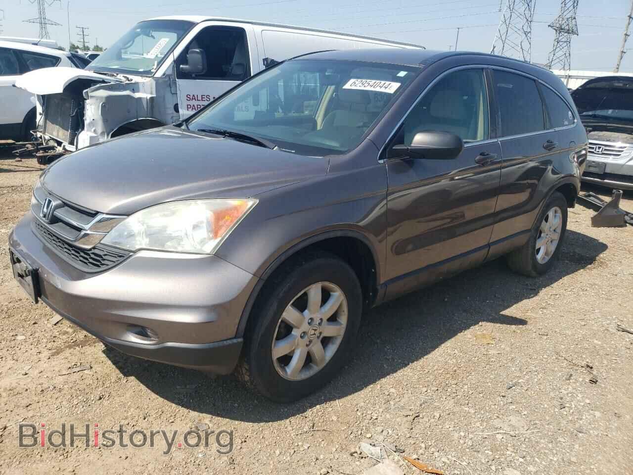 Photo 5J6RE4H43BL103450 - HONDA CRV 2011