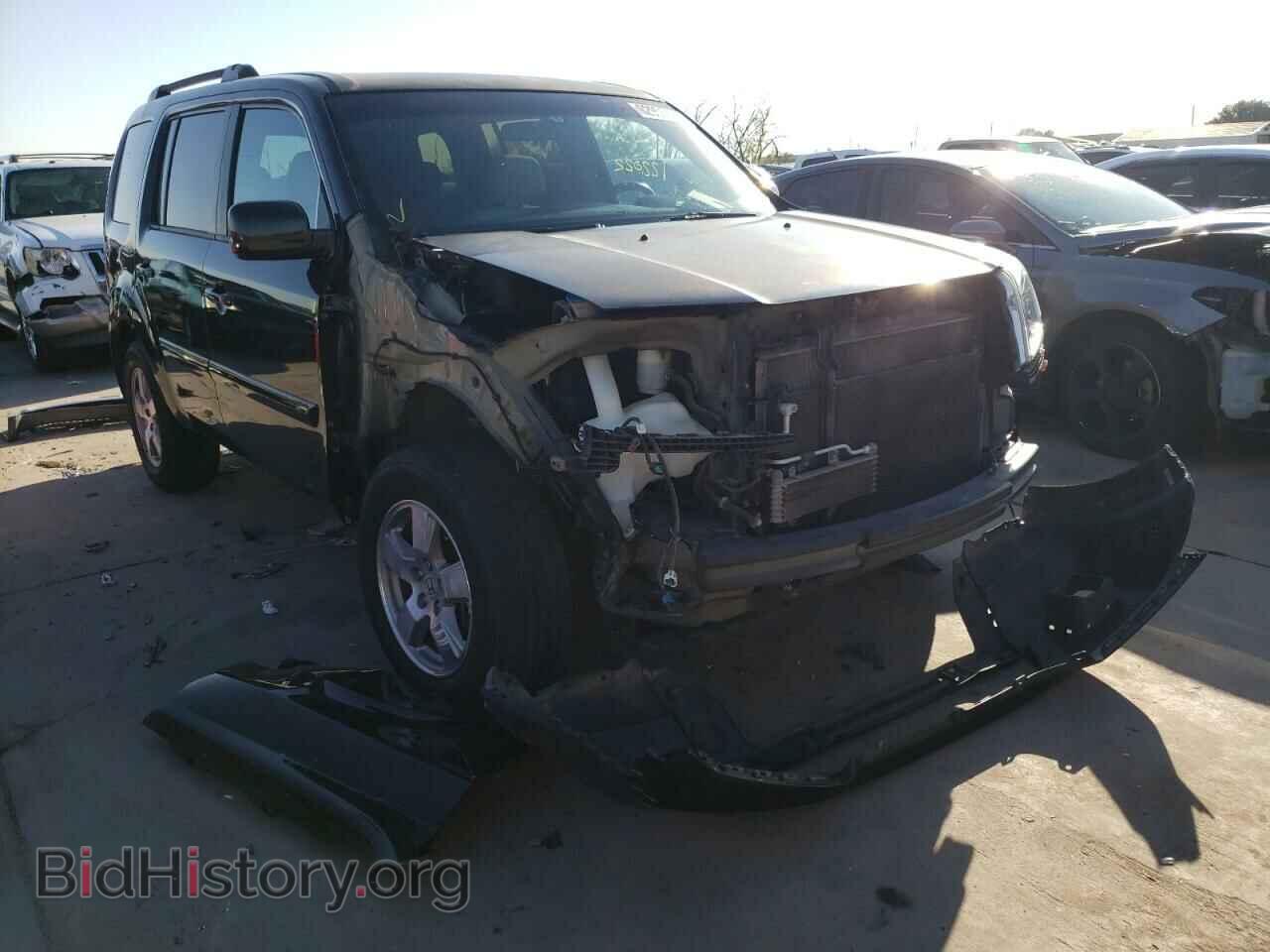 Фотография 5FNYF3H41BB043888 - HONDA PILOT 2011