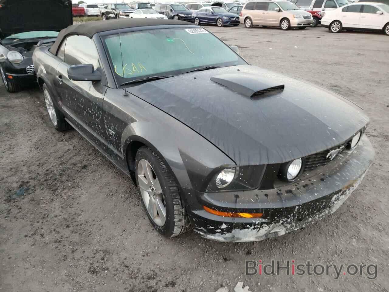 Photo 1ZVFT85H875271333 - FORD MUSTANG 2007