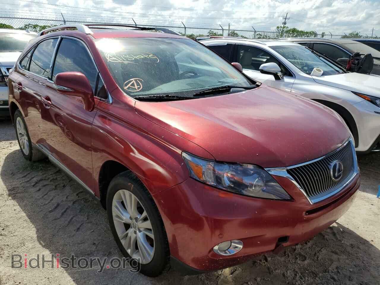 Фотография JTJBC1BA0B2041437 - LEXUS RX450 2011