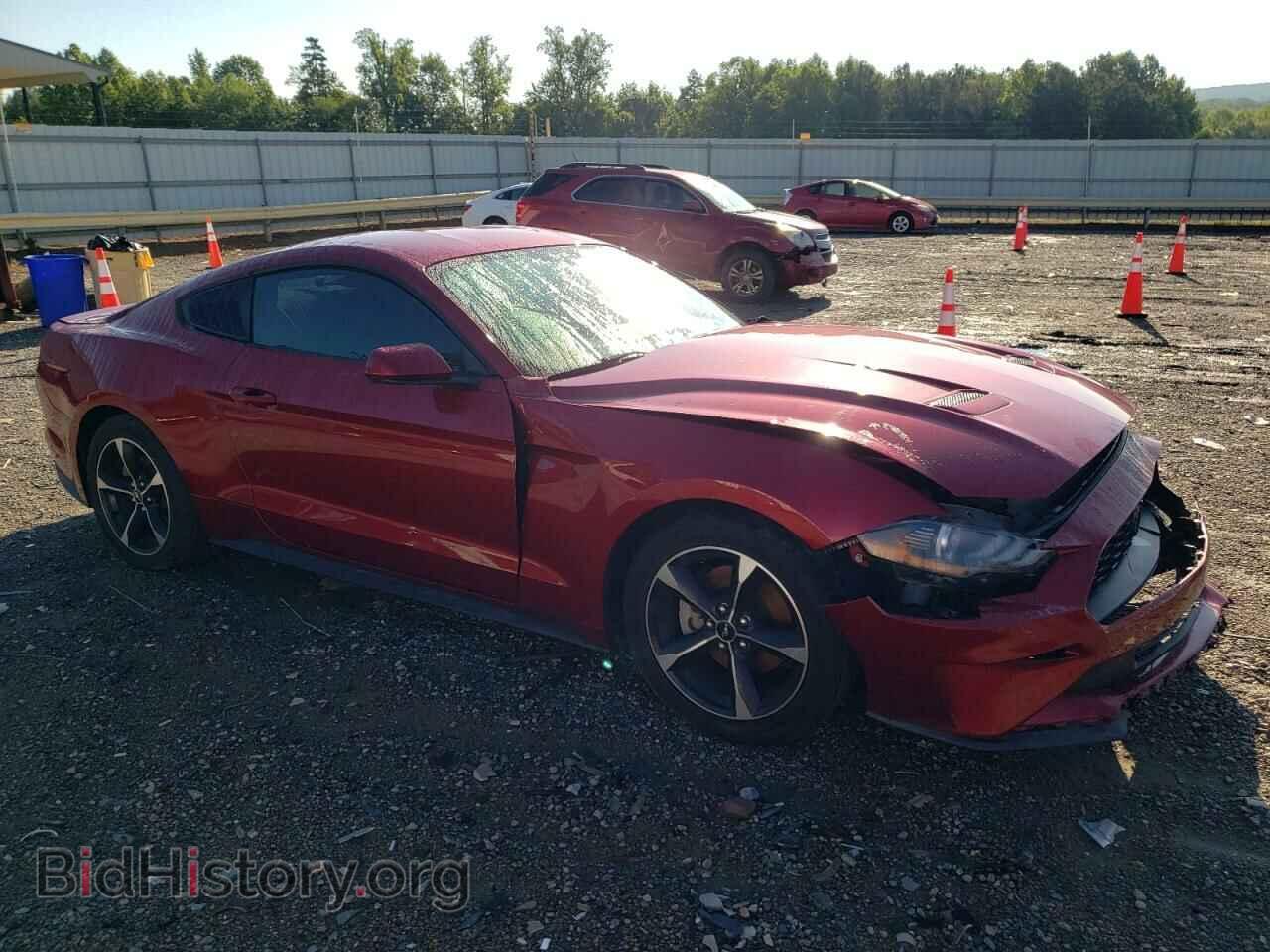 2019 FORD ALL Models - VIN: 1FA6P8TH1K5117054 - Фото 4