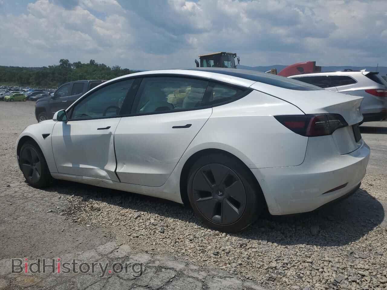 2021 TESLA MODEL 3 - VIN: 5YJ3E1EA2MF096033 - Photo 2