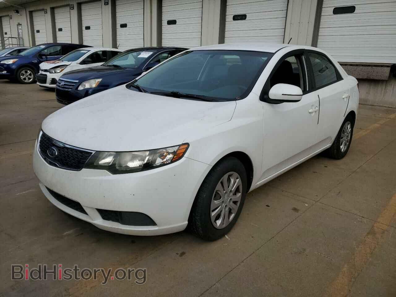 Фотография KNAFU4A26D5694852 - KIA FORTE 2013