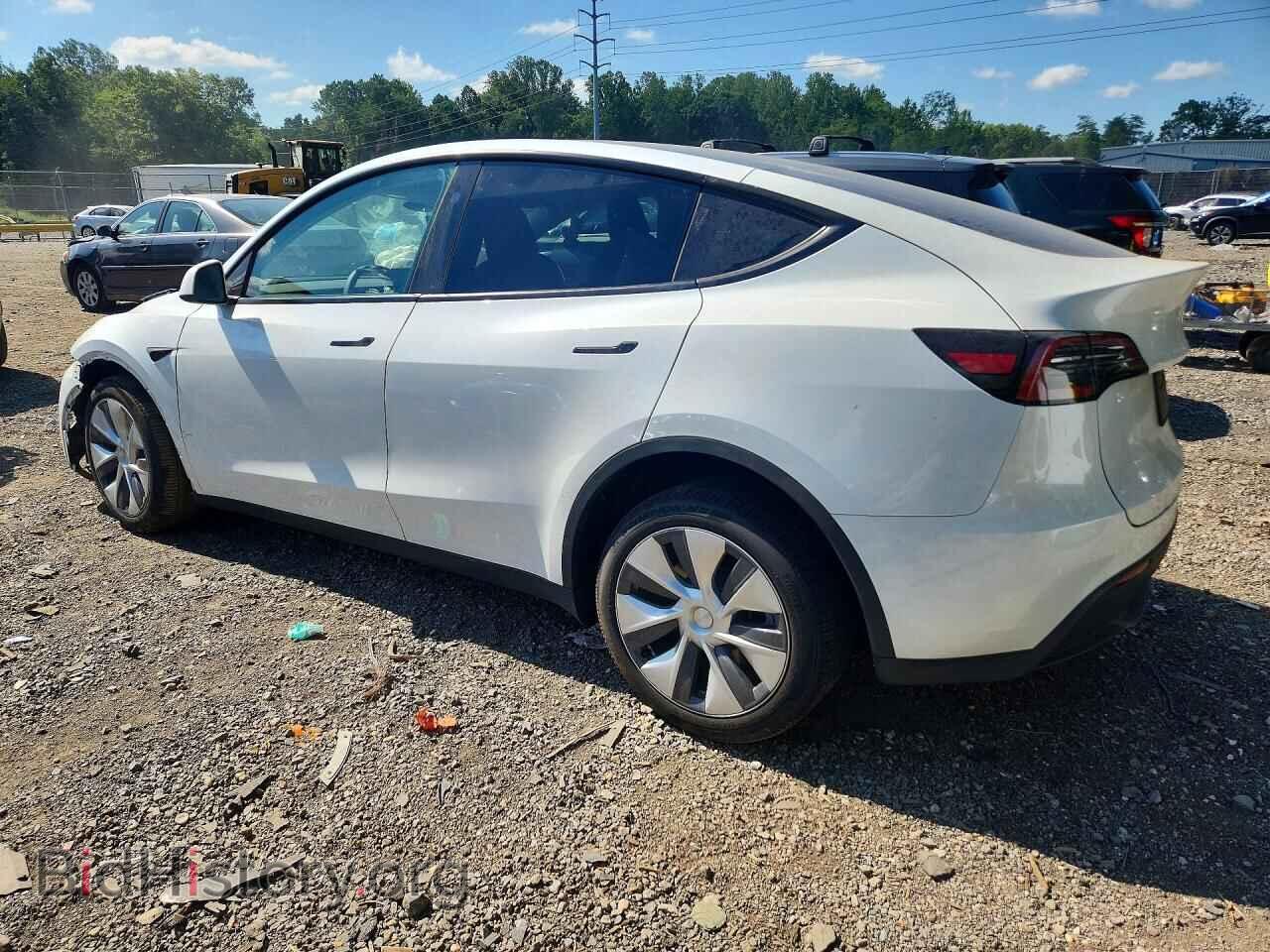 2024 TESLA MODEL Y - VIN: 7SAYGDEEXRA259040 - Фото 2