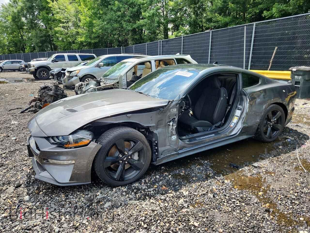 Photo 1FA6P8CF7M5116492 - FORD MUSTANG 2021