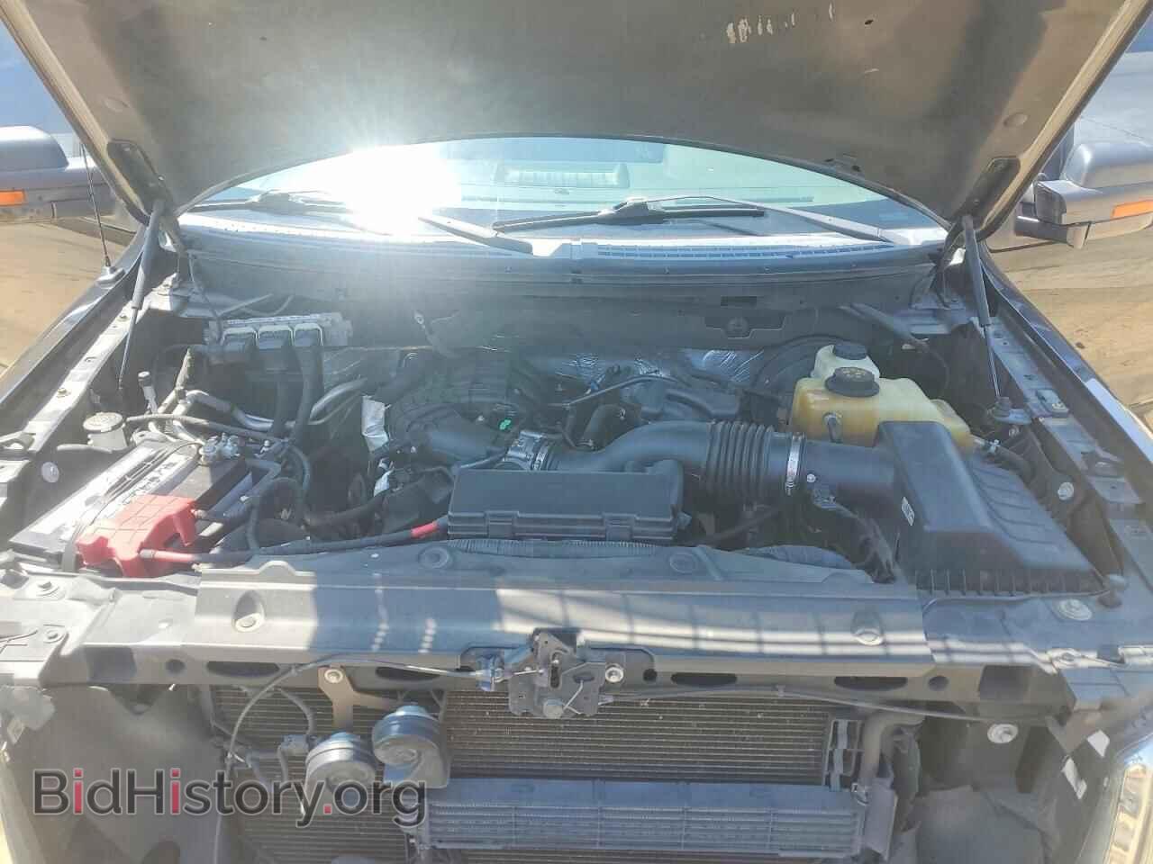 2013 FORD F150 - VIN: 1FTEX1CM2DFD44597 - Фото 11