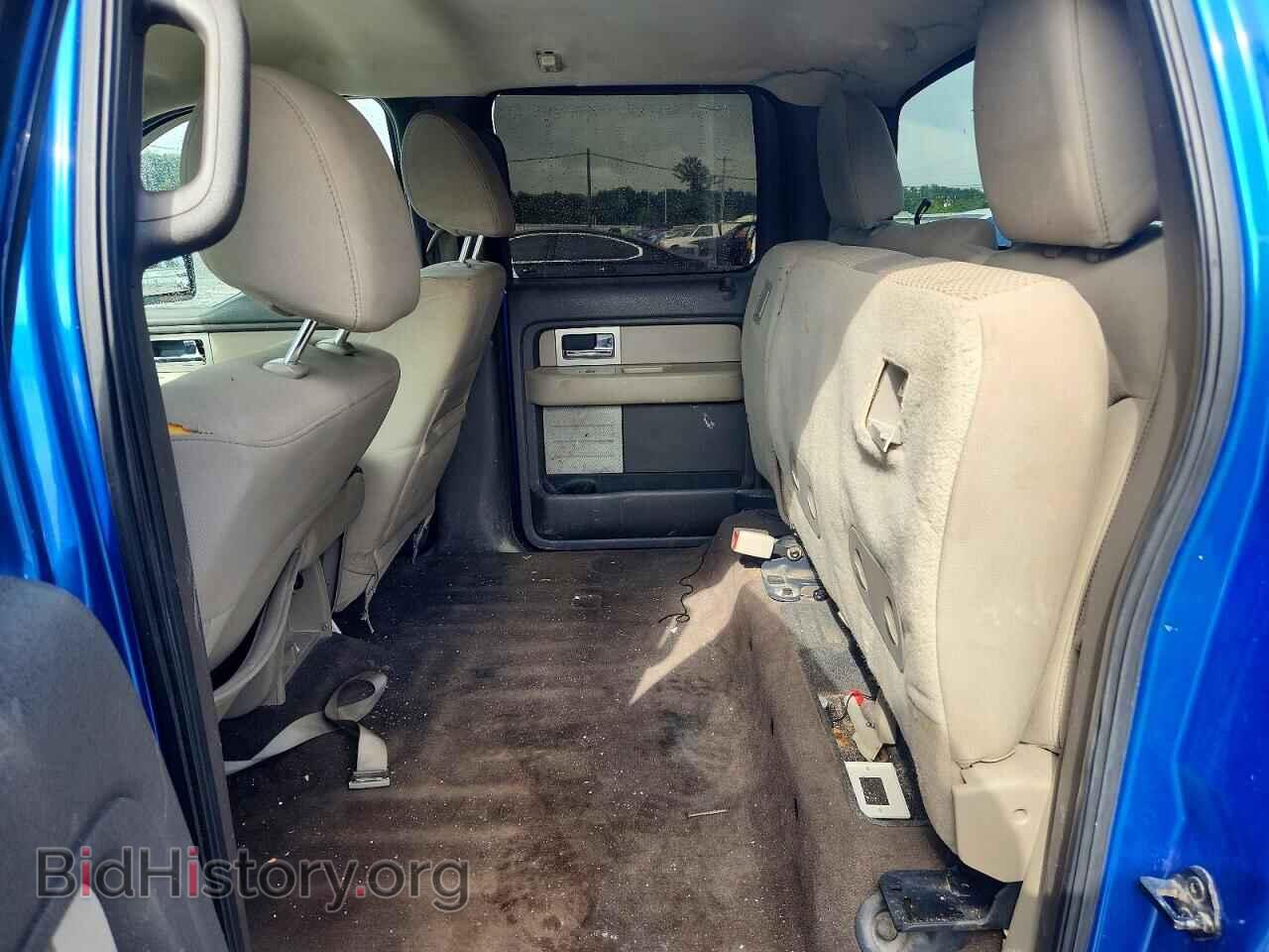 2010 FORD F150 - VIN: 1FTFW1EV6AFD68457 - Фото 10