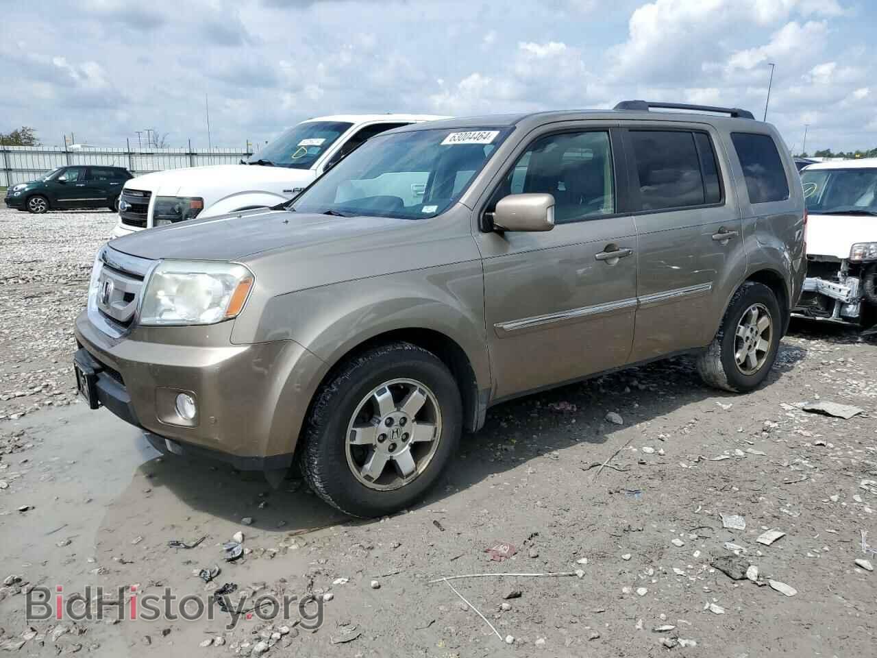 Фотография 5FNYF48969B039962 - HONDA PILOT 2009