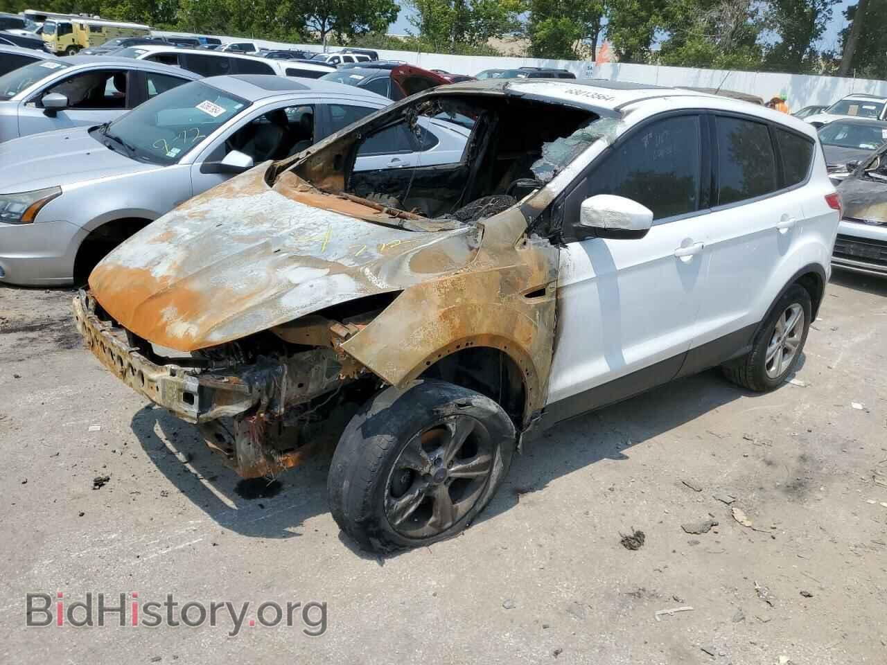 Фотография 1FMCU0GX9DUB95840 - FORD ESCAPE 2013