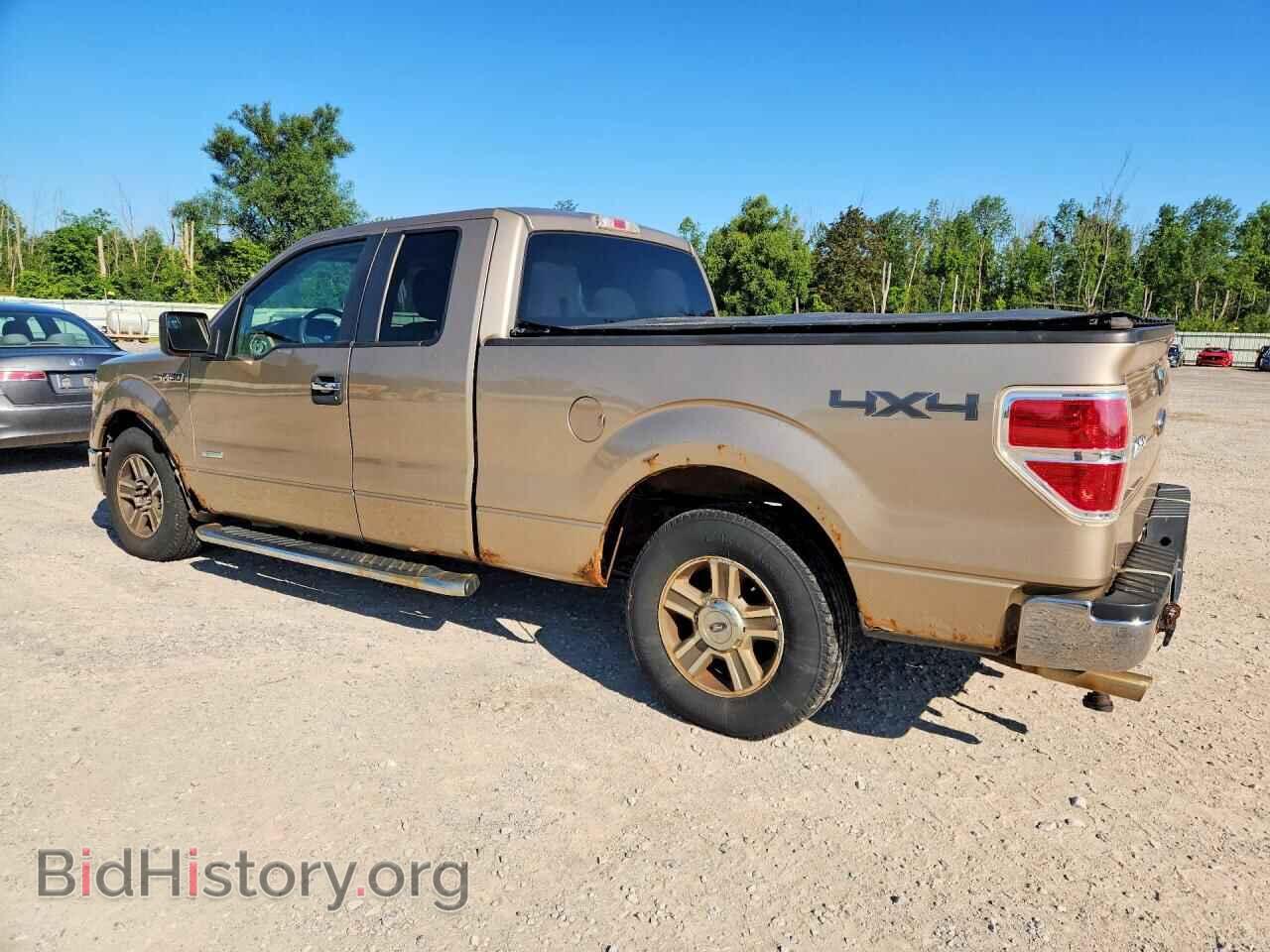 2012 FORD F150 - VIN: 1FTFX1ET9CFB52424 - Фото 2