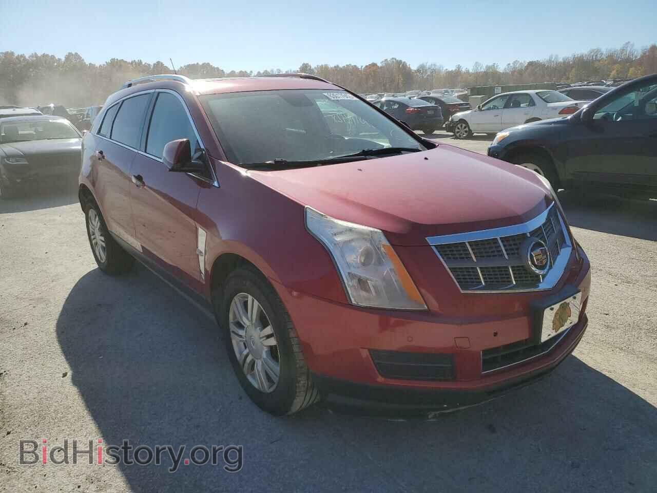 Фотография 3GYFNDEY8BS596353 - CADILLAC SRX 2011