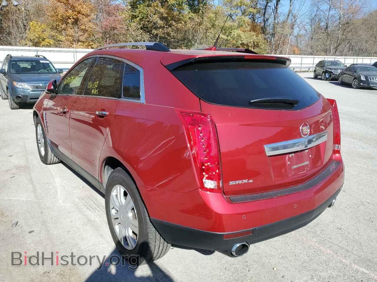 2011 CADILLAC SRX - VIN: 3GYFNDEY8BS596353 - Фото 3