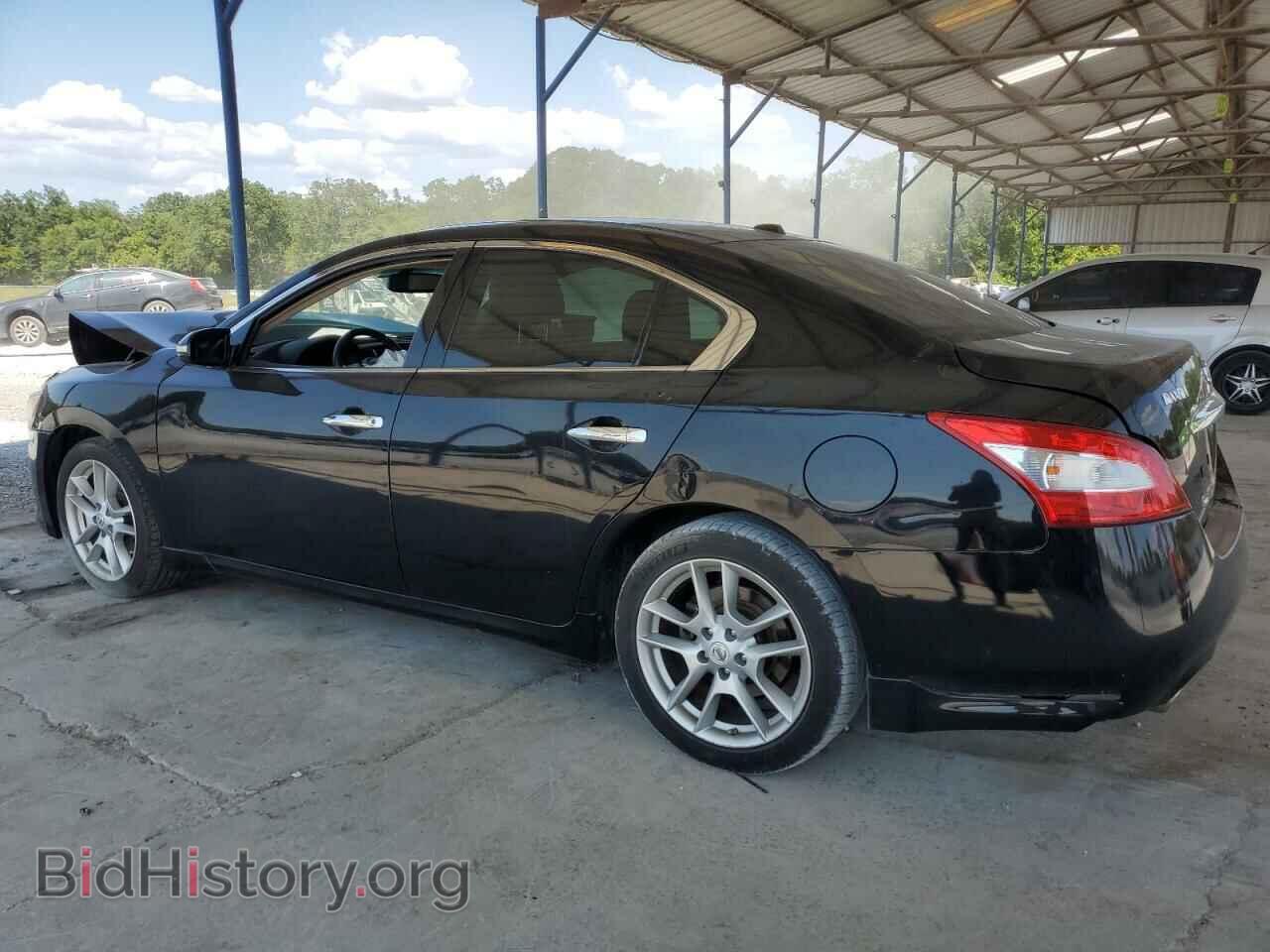 2011 NISSAN MAXIMA - VIN: 1N4AA5AP1BC826986 - Фото 2