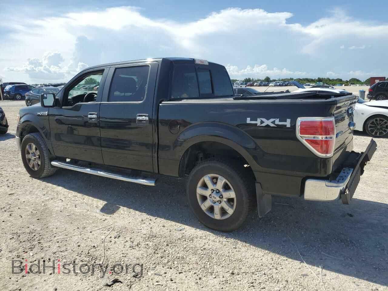 2013 FORD F-150 - VIN: 1FTFW1EF8DFD01274 - Photo 2